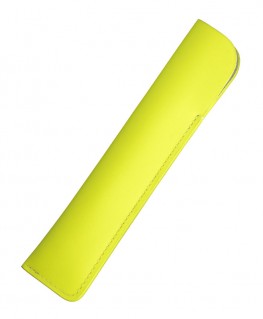 etui-stylo-bille-caran-dache-ecridor-germanier-platine-edition-speciale_8902.016-caran-dache