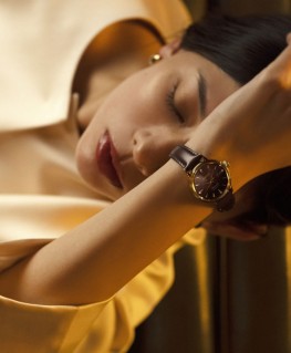 montre-seiko-presage-automatique-3-aiguilles_sre020j1-seiko-porte