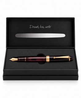 stylo-plume-custom-ns-rouge-rubis-FKNS-1-R-M-EX-COFF-box
