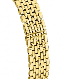 montre-festina-swiss-made-acier-doré_F20098/1-bracelet